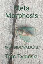 Meta Morphosis: Wet Sidewalks Two