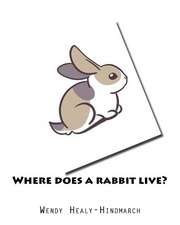 Where Does a Rabbit Live?