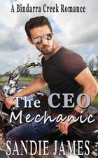 The CEO Mechanic