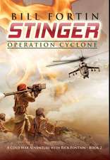 Stinger Operation Cyclone