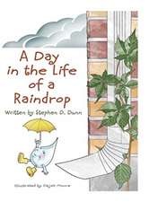 A Day In The Life Of A Raindrop