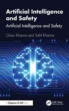 Artificial Intelligence and Safety: A Practical Guide for Programmers and Decision Makers