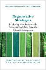 Regenerative Strategies: Exploring New Sustainable Business Models to Face the Climate Emergency