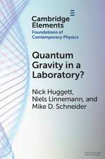 Quantum Gravity in a Laboratory?