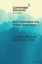 Rich Experience and Sparse Awareness