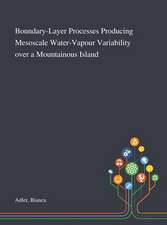 Boundary-Layer Processes Producing Mesoscale Water-Vapour Variability Over a Mountainous Island