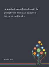 A Novel Micro-mechanical Model for Prediction of Multiaxial High Cycle Fatigue at Small Scales