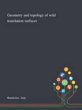 Geometry and Topology of Wild Translation Surfaces