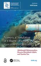 Numerical Simulation of Effluent Discharges: Applications with OpenFOAM