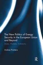 The New Politics of Energy Security in the European Union and Beyond: States, Markets, Institutions