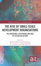 The Rise of Small-Scale Development Organisations: The Emergence, Positioning and Role of Citizen Aid Actors