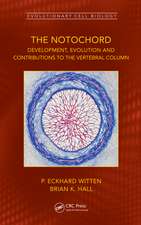 The Notochord: Development, Evolution and contributions to the vertebral column