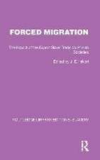 Forced Migration: The Impact of the Export Slave Trade on African Societies