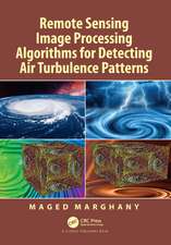 Remote Sensing Image Processing Algorithms for Detecting Air Turbulence Patterns