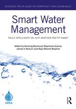 Smart Water Management: Truly Intelligent or Just Another Pretty Name?