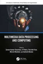 Multimedia Data Processing and Computing