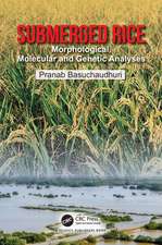 Submerged Rice: Morphological, Molecular and Genetic Analyses