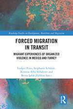 Forced Migration in Transit: Migrant Experiences of Organized Violence in Mexico and Turkey