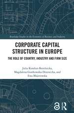 Corporate Capital Structure in Europe: The Role of Country, Industry and Firm Size