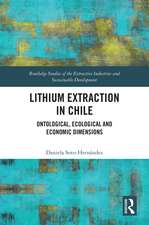 Lithium Extraction in Chile: Ontological, Ecological and Economic Dimensions