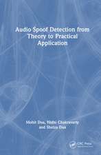 Audio Spoof Detection from Theory to Practical Application