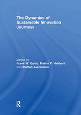 The Dynamics of Sustainable Innovation Journeys