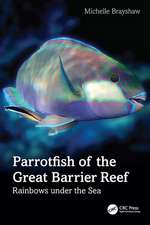 Parrotfish of the Great Barrier Reef