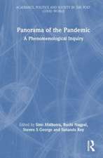 Panorama of the Pandemic: A Phenomenological Inquiry