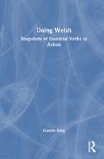 Doing Welsh: Snapshots of Essential Verbs in Action