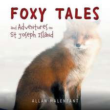 FOXY TALES & ADV ON ST JOSEPH