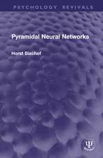 Pyramidal Neural Networks