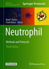 Neutrophil