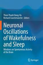 Neuronal Oscillations of Wakefulness and Sleep: Windows on Spontaneous Activity of the Brain