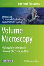 Volume Microscopy