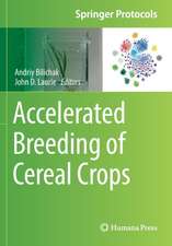 Accelerated Breeding of Cereal Crops