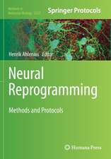 Neural Reprogramming