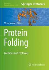 Protein Folding