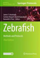 Zebrafish