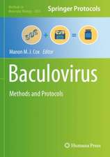 Baculovirus