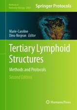 Tertiary Lymphoid Structures