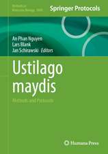 Ustilago maydis