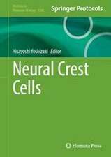 Neural Crest Cells