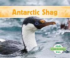 ANTARCTIC SHAG