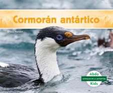 Cormoran Antartico (Antarctic Shag)