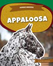Appaloosa