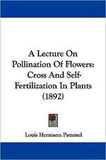 A Lecture On Pollination Of Flowers