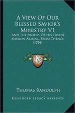 A View Of Our Blessed Savior's Ministry V1