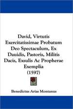 David, Virtutis Exercitatissimae Probatum Deo Spectaculum, Ex Dauidis, Pastoris, Militis Dacis, Exsulis Ac Propherae Exemplia (1597)