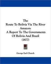 The Route To Bolivia Via The River Amazon