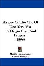 History Of The City Of New York V3